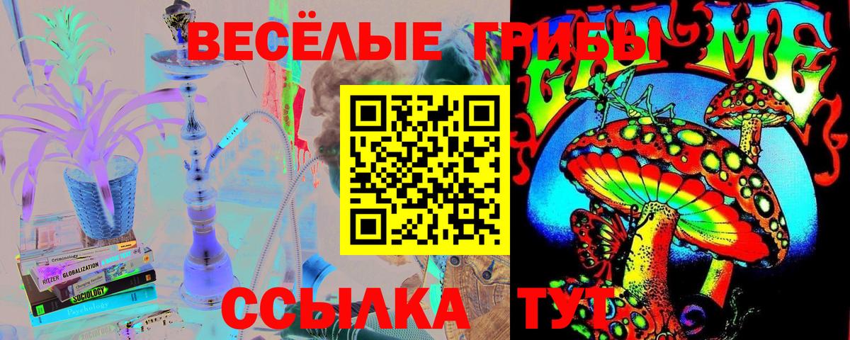 Невинномысск  Галлюциногенные грибы GOLDEN TEACHER  Вход с VPN  Галлюциногенные грибы GOLDEN TEACHER 